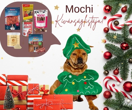 Mochi, 2 éves ivartalanított szuka