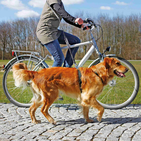 Trixie Dog Activity Bicycle and Jogging Leash - Póráz biciklizéshez és futáshoz