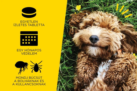 AdTab kullancs és bolha elleni rágótabletta kutyáknak