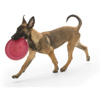 West Paw Zisc frizbi #3