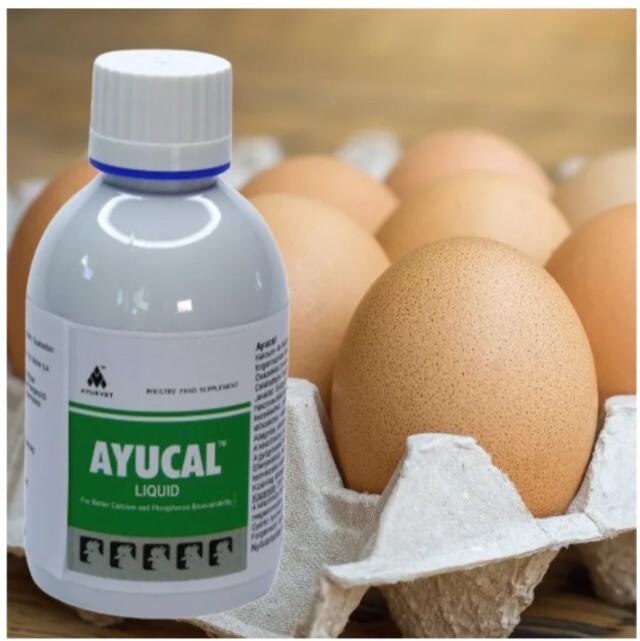 Ayucal kalcium-, foszfor- és tojáshéj-erősítő itatófolyadék - zoom