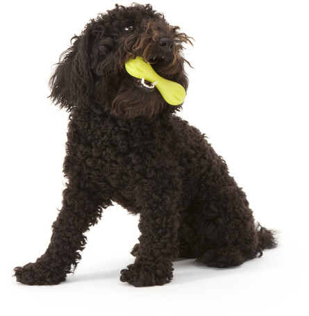 West Paw Hurley - Tartós rágóbot