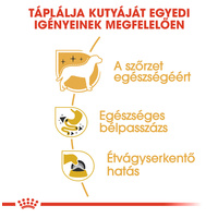 Royal Canin Chihuahua Adult - Csivava felnőtt kutya  nedves táp #4