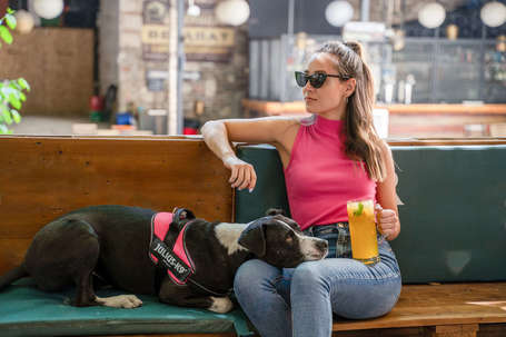 Julius-K9 IDC powAIR légáteresztő rózsaszín kutyahám