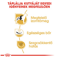 Royal Canin French Bulldog Adult - Francia Bulldog felnőtt kutya száraz táp #4