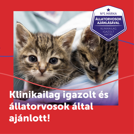 Feliway Friends nyugtató hatású párologtató macskáknak