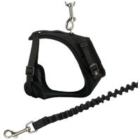 Trixie Mesh Y Harness with leash - Y hám, hálós anyagból pórázzal macskáknak #2