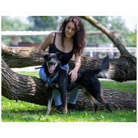 Marcell, 5 éves kan #6