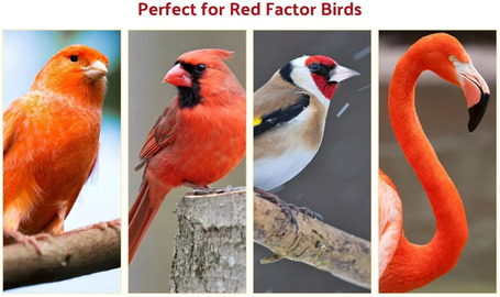 Beaphar Intensief Red