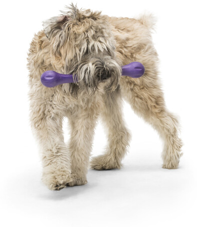 West Paw Zwig apport