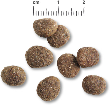 Belcando Finest Light | Túlsúlyos vagy idősebb kistestű kutyáknak való eledel