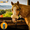 Horsemed Ice Gel - Gel medicinal cu efect de răcire pentru cai