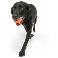 West Paw Rando - Üreges, össze-vissza pattogó labda #3