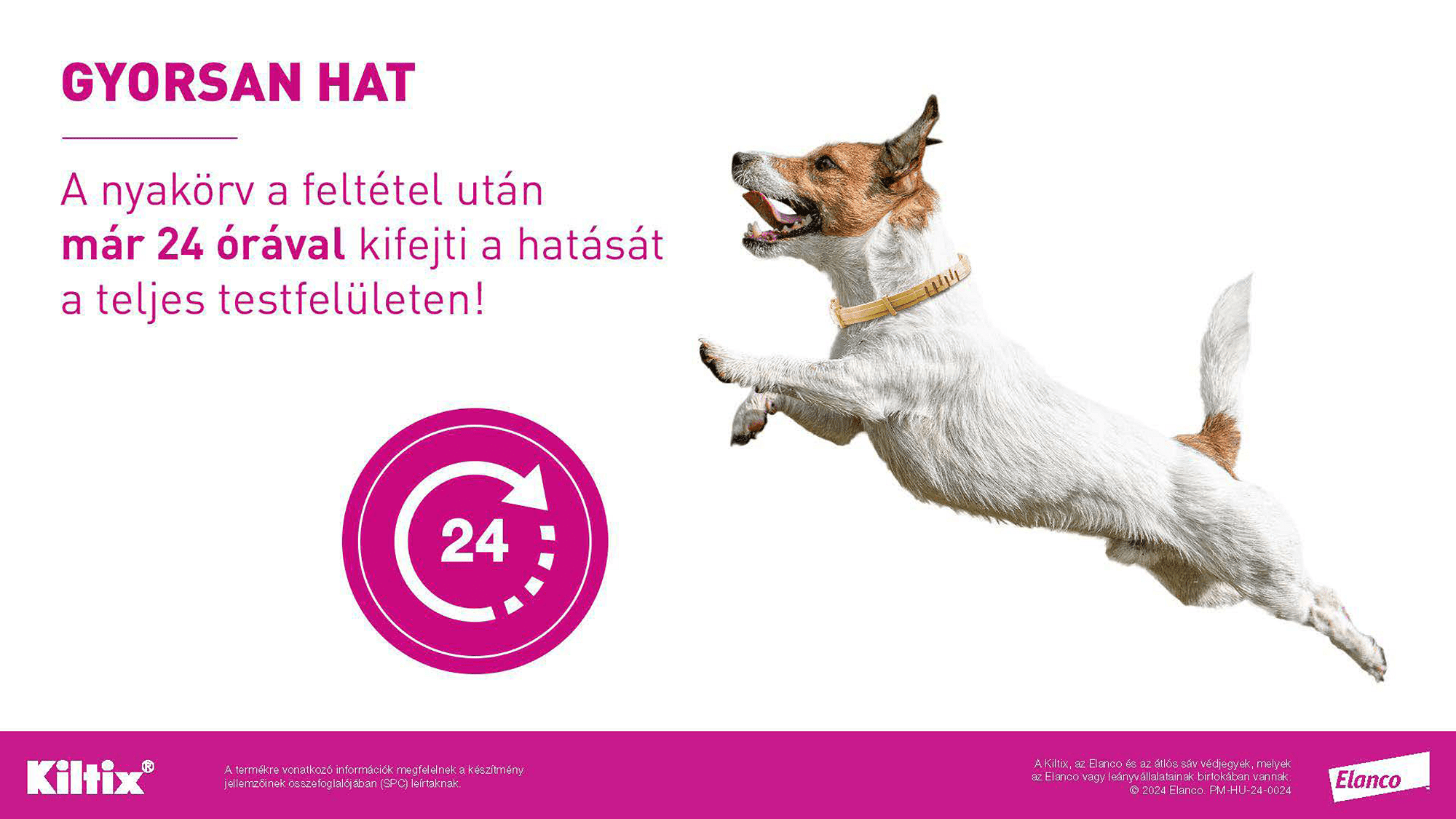 Zgardă Kiltix - zoom