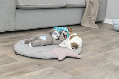 Trixie Junior lajhár szívhanggal kölyökkutyák részére