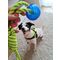 Trixie Aqua Toy Playing Rope vízi kutyajáték labdával