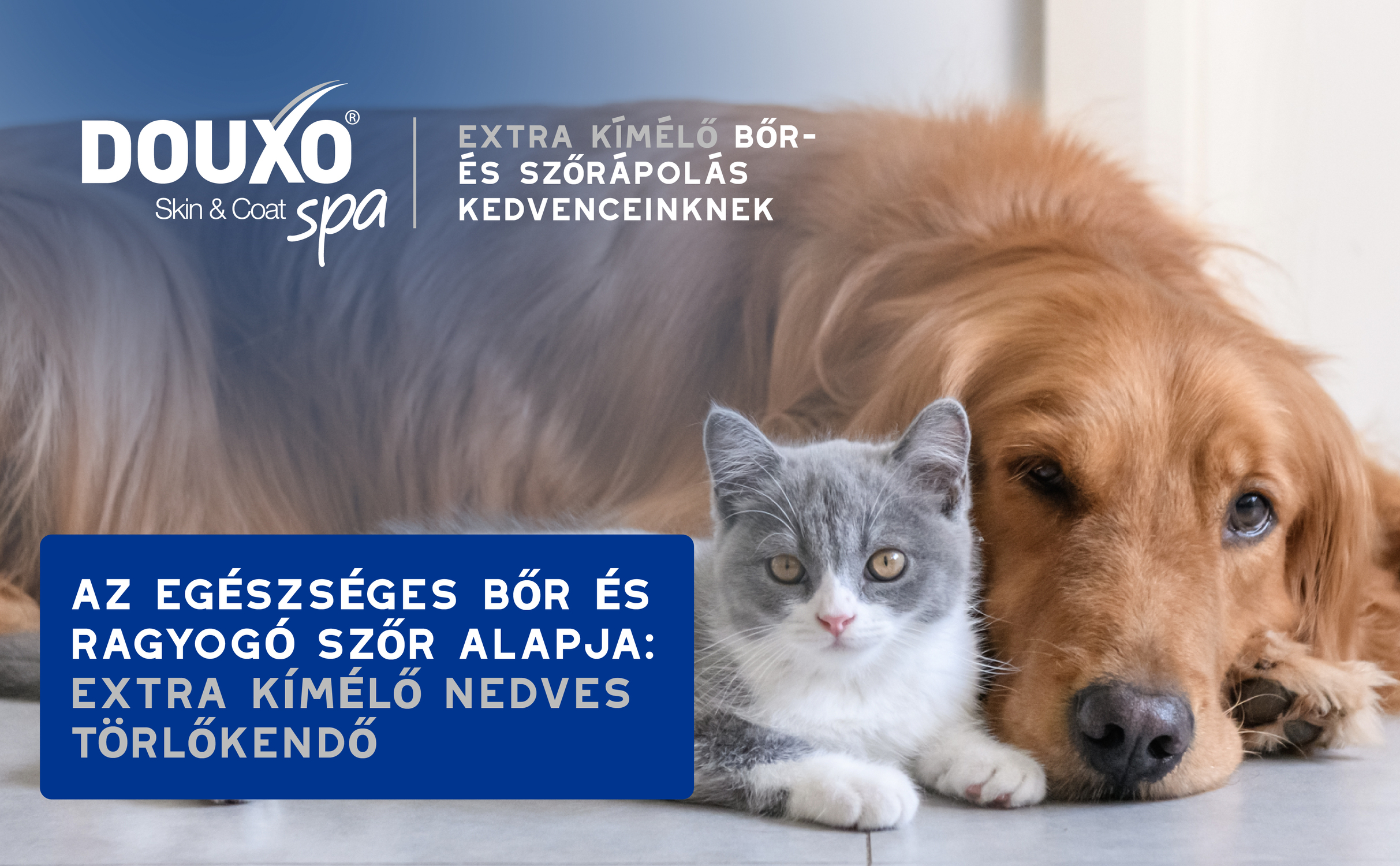 HU DouxoSpa Multipurpose Wipes BTF Tile 1