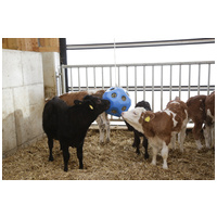 Kerbl HeuBoy szénaetető játéklabda lovaknak #4