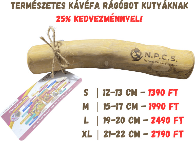 🎄🐕Tegyél szuper tartós, mégis szuper olcsó természetes kutyajátékot a fa alá!