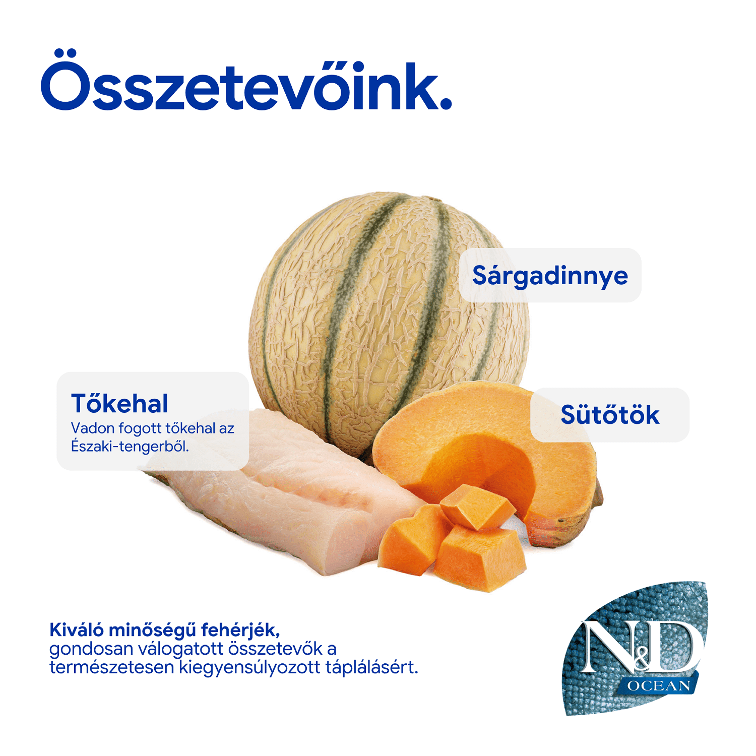 N&D Dog Ocean Puppy Mini sütőtök, tőkehal & sárgadinnye | Kistestű kölyök kutyák részére