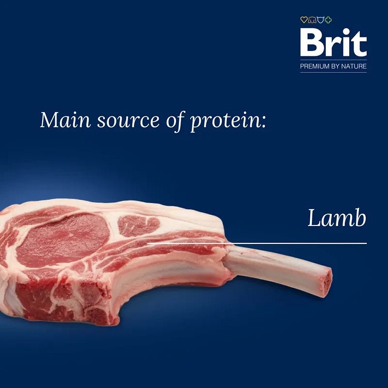 Brit Premium Sensitive Lamb & Rice - zoom