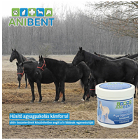 Anibent hűsítő agyagpakolás mentollal #3