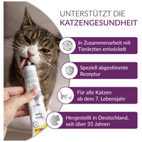 Gimcat Senior paszta 7+ idősödő macskáknak #5