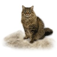 FURminator hosszú szőrű macskákhoz #7