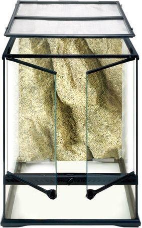 Exo Terra kis méretű üveg terrárium