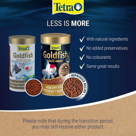 Tetra Goldfish Gold Japan