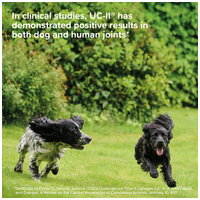 Beaphar Flexifit rágótabletta kutyáknak #10