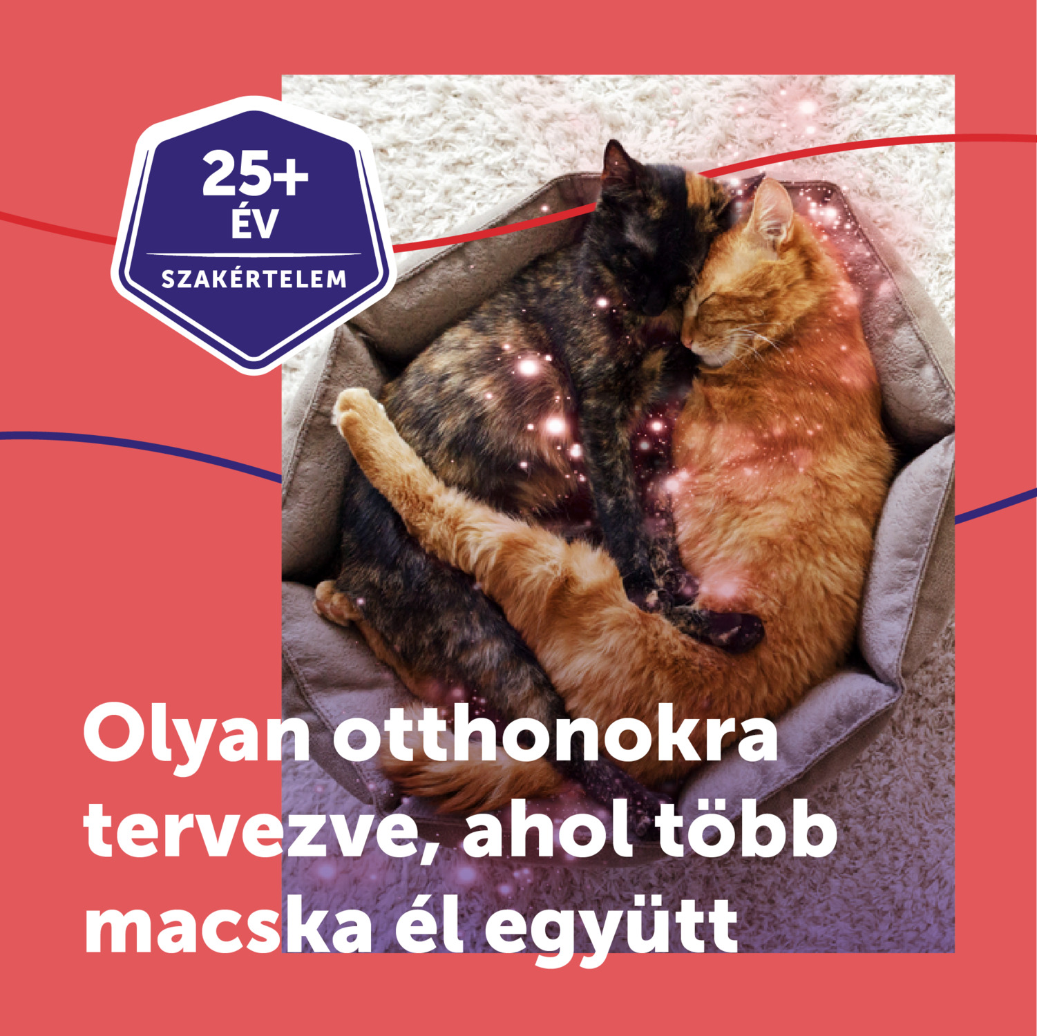 Feliway Friends nyugtató hatású párologtató macskáknak