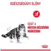 Royal Canin Urinary Care - Száraz táp felnőtt macskák részére az alsó hugyúti problémák megelőzéséért #3