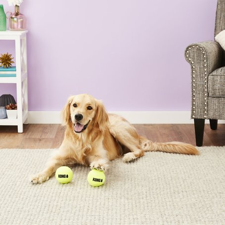 Kong Squeakair teniszlabdák
