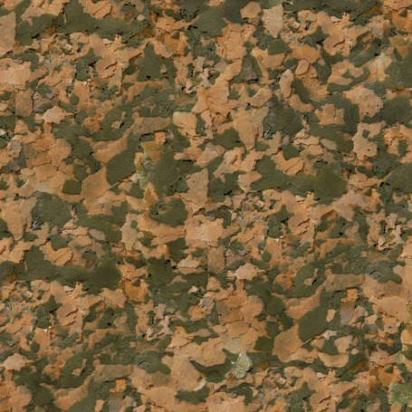 Sera San színfokozó lemezes díszhaltáp