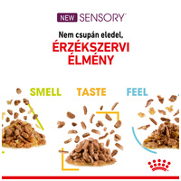 Royal Canin Sensory Smell Jelly - Zselés felnőtt macska nedves táp fokozott illattal #4