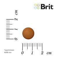 Brit Care Grain-Free Puppy Salmon & Potato gabona- és gluténmentes kölyökkutya táp #6