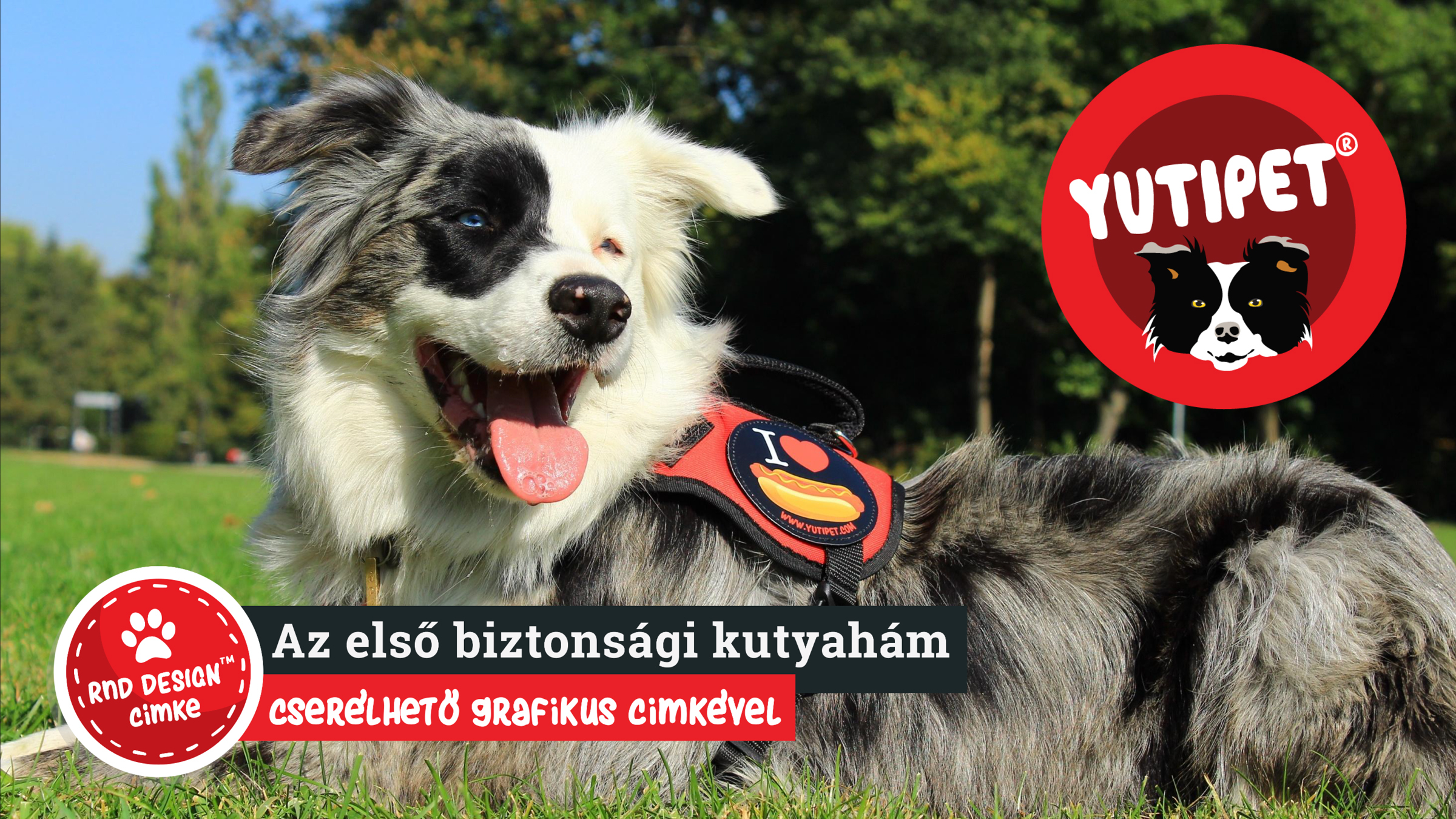 Yutipet RnD ham de siguranță pentru câini (Camuflaj) - zoom