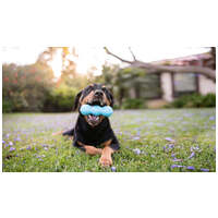 West Paw Rumpus rágóbot #10