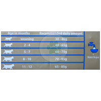 Matisse Kitten kölyökmacskáknak #3