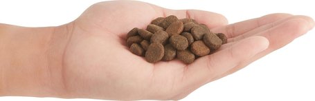 Orijen Regional Red kutyatáp