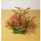 Akváriumi műnövény vöröses árnyalatú hullámos levelekkel