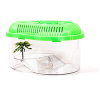 Fauna-box kis kilépő szigettel, azon pálmafával #6