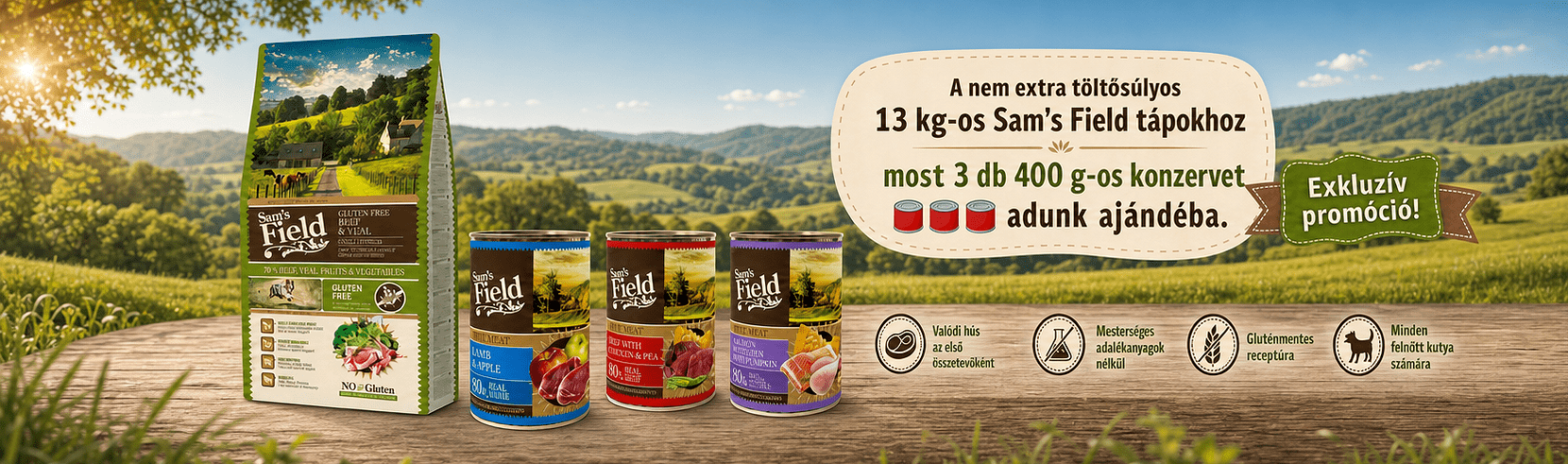 Sam's Field konzerves promóció