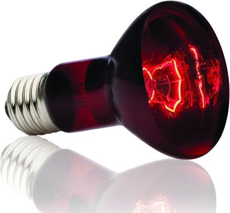 Exo Terra Infrared Basking Spot infravörös melegítőlámpa terráriumba