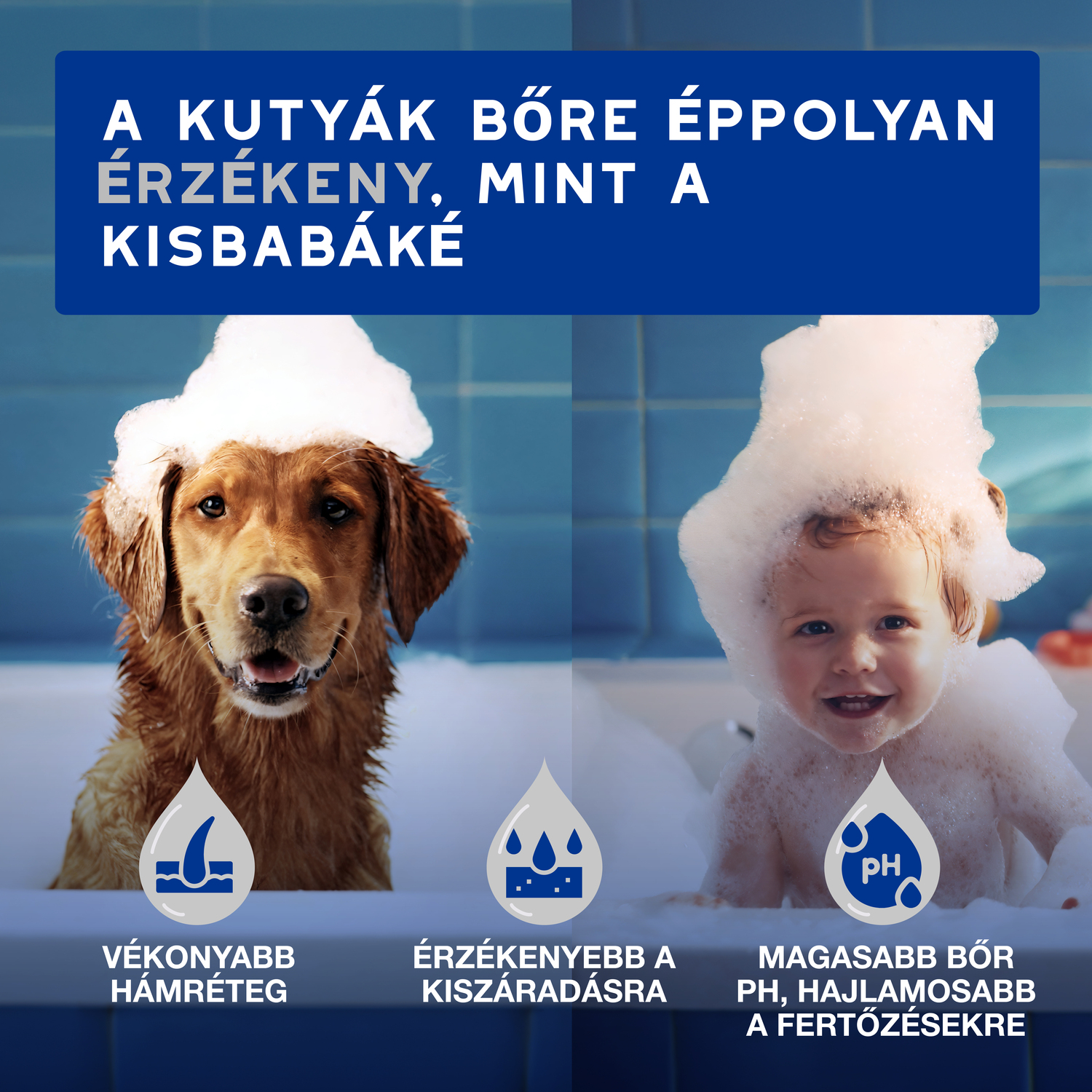 Douxo Spa nedves törlőkendő kutyáknak és macskáknak - zoom