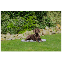 Trixie Soft Cooling Mat - szürke hűtőmatrac kutyák részére #9