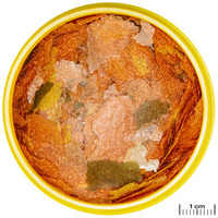 JBL ProNovo Tanganyika Flakes M #3