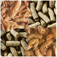 Tetra ReptoMin 3in1 Menu #4