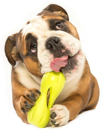 West Paw Qwizl - Jutalomfalattal tölthető rágóka